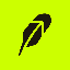SpaceX Tokenized Stock (Robinhood) token logo