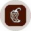 Chipotle Tokenized Stock (Ondo) token logo