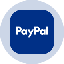 PayPal Tokenized Stock (Ondo) token logo