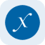 Direxion Semiconductor Bull 3X Tokenized Stock (Reality) token logo