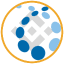 Credo Technology Tokenized bStocks token logo