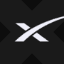 Wrapped SpaceX Tokenized ETF (xStock) token logo