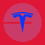 Tesla - Tokenized on Base token logo