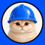 Basecat token logo