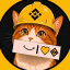 Binance Cat (binance-cat.com) token logo