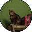 GTA6CAT (thegta6cat.com) token logo