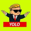 YOLO (yolorh.com) token logo