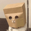 Anonymous Cat token logo
