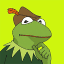Robin the Frog token logo