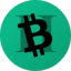 Bitcoin Cash II token logo